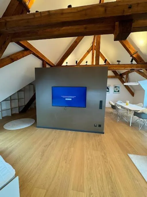 Luxus-Penthouse In Heidelberg Apartment