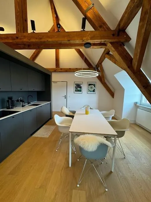 Luxus-Penthouse In Heidelberg Apartment