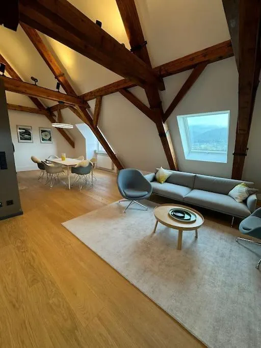 Luxus-Penthouse In Heidelberg Apartment
